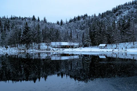 Snow-covered trees reflected in the still water of Skomakerdiket Lake.
